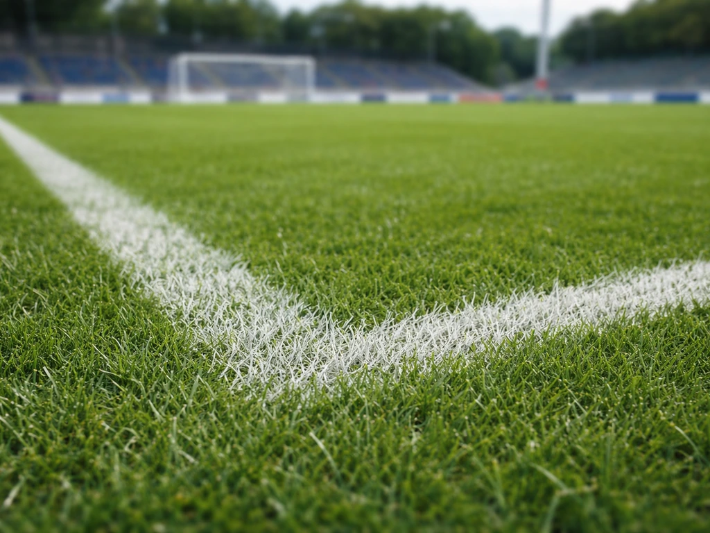 Gazon stade de foot : guide complet pour réparer et entretenir