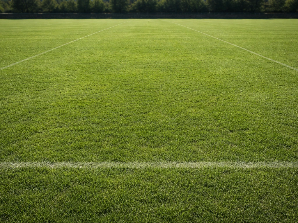 Sport sur gazon : guide pratique pour un terrain durable