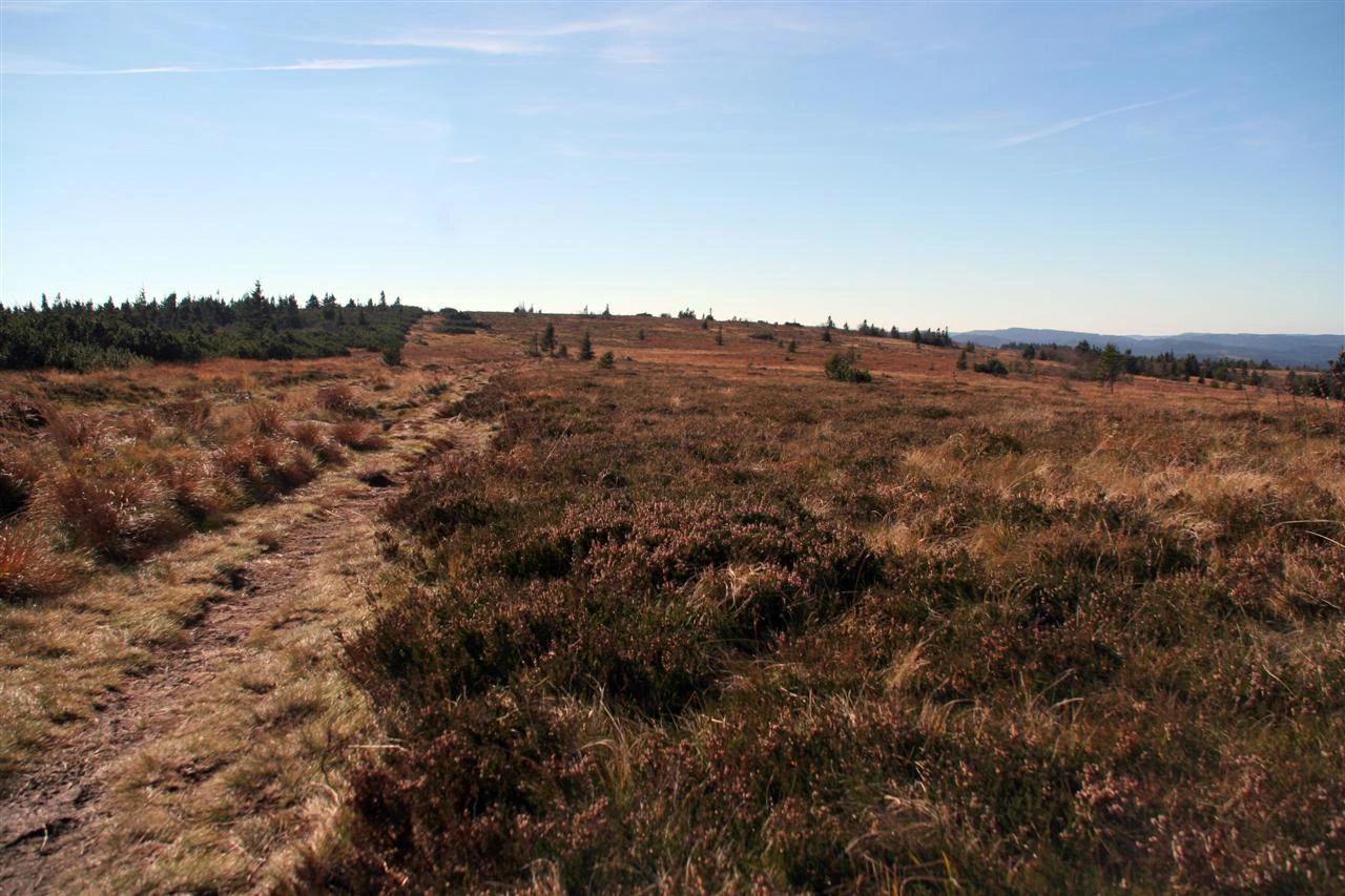 Paysage du Gazon du Faing avec sentier en crête et hautes chaumes dans les Vosges