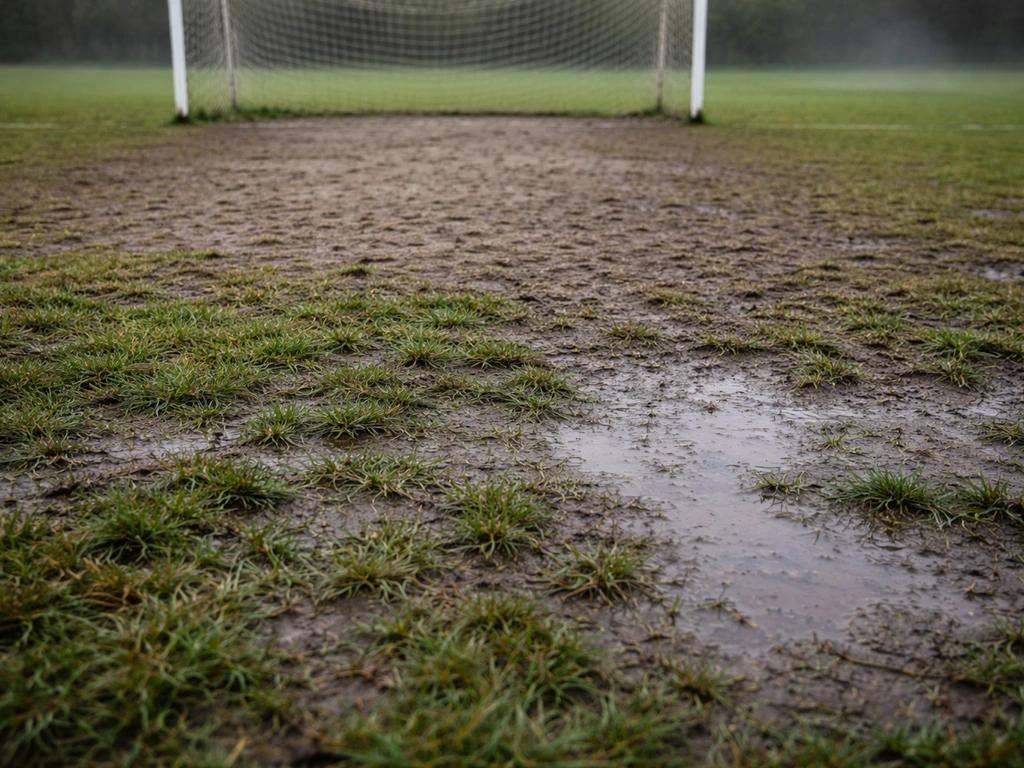Gros plan d’un terrain de foot avec zones chauves devant les buts et zone détrempée après la pluie